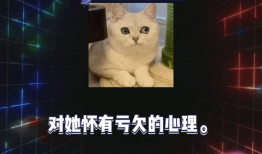 娱乐圈吃瓜爆料游戏教程,揭秘明星幕后故事，轻松上手成为“瓜王”