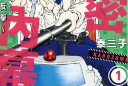 女警 漫画,漫画中的正义守护者